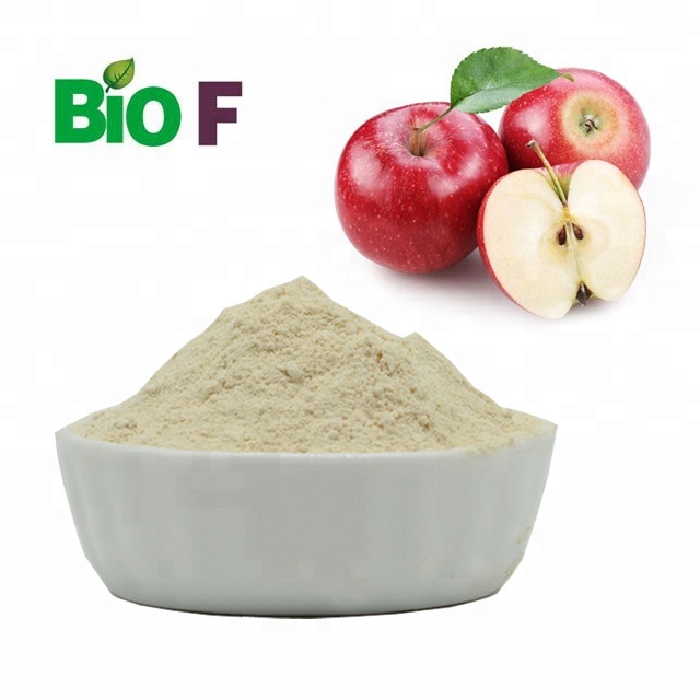 99% Apple Stem Cell Powder Aditif Makanan Apple Stem Cell Extract Powder 0