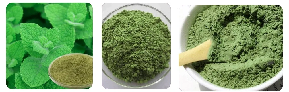 100% murni organik bubuk daun peppermint bubuk peppermint 1