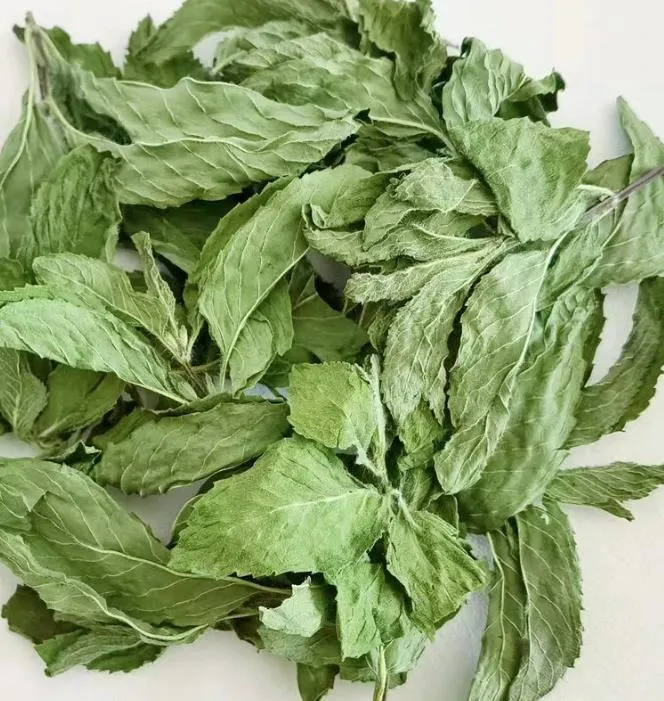 100% murni organik bubuk daun peppermint bubuk peppermint 0