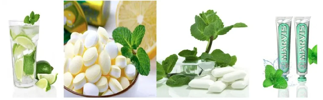 100% murni organik bubuk daun peppermint bubuk peppermint 4