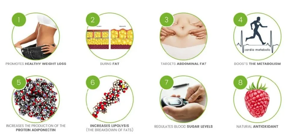 Natural Pure Raspberry Ketone Extract Raspberry Ketone 99% Putih Kristal Powder Whitening 1