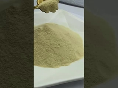 Coklat muda