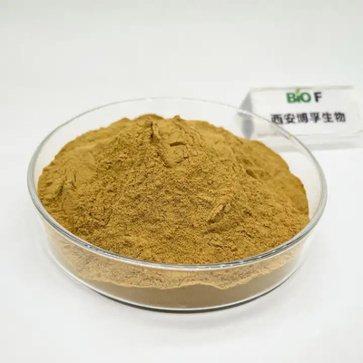 Food Grade Mullein Leaf Extract Powder Natural Mullein Extract