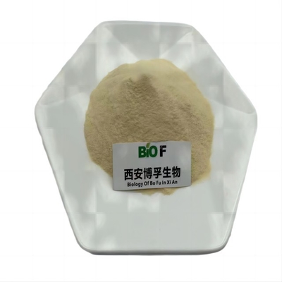 Light Yellow Cosmetic Grade Hydrolyzed Rice Protein Powder 99% Purity