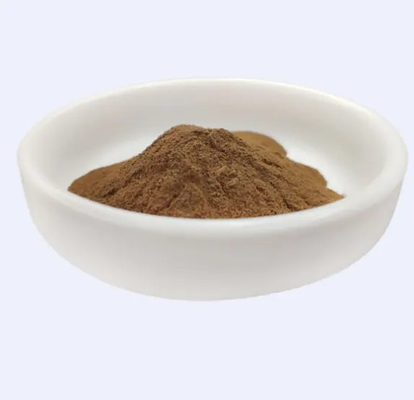 Sangat Efektif 100% Alam Hamamelis Virginiana Witch Hazel Ekstrak Untuk Kosmetik Bahan Baku Umur 24 Bulan