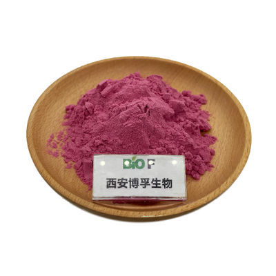 Pabrik Pasokan Grosir Harga ekstrak Cranberry Powder Cranberry Juice Powder Cranberry Powder
